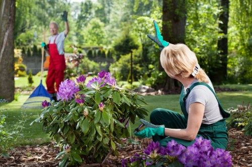 Professionally mowed lawn in Forest Gate
