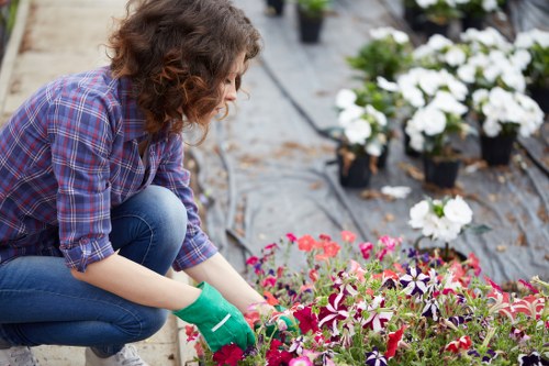Lawn mowing services in Forest Gate