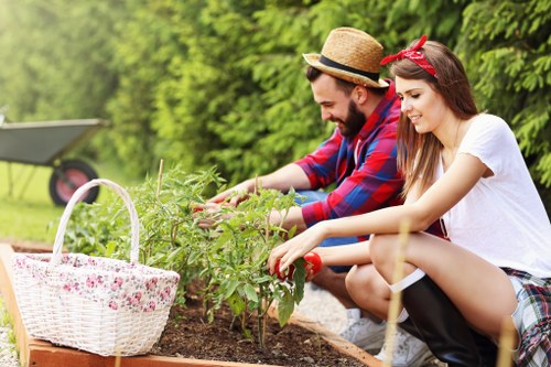 Professional tree lopping service in Forest Gate