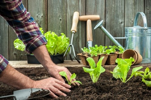 Design and layout elements of a Forest Gate garden