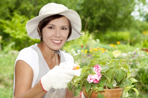 Types of lawn mowers used by professionals