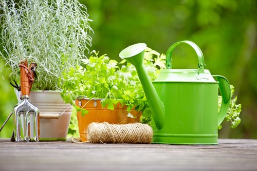 Team of experts mowing a lawn in Forest Gate
