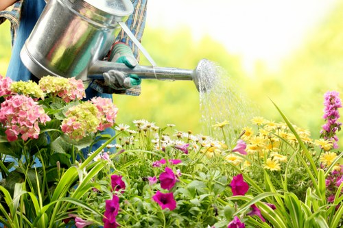 Professional garden clearance in Forest Gate