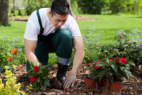 Experienced team maintaining a lush green lawn