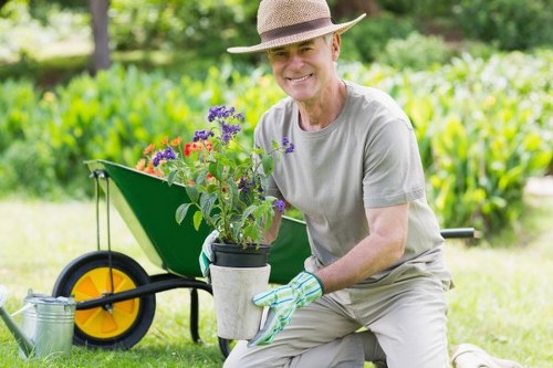 Professional lawn care equipment