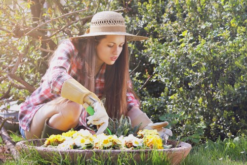 Seasonal lawn care tips for Forest Gate