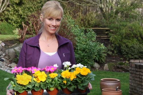Sustainable landscaping features in Forest Gate