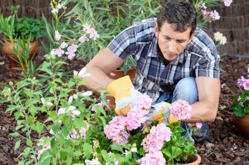 Healthy green lawn maintained by experts